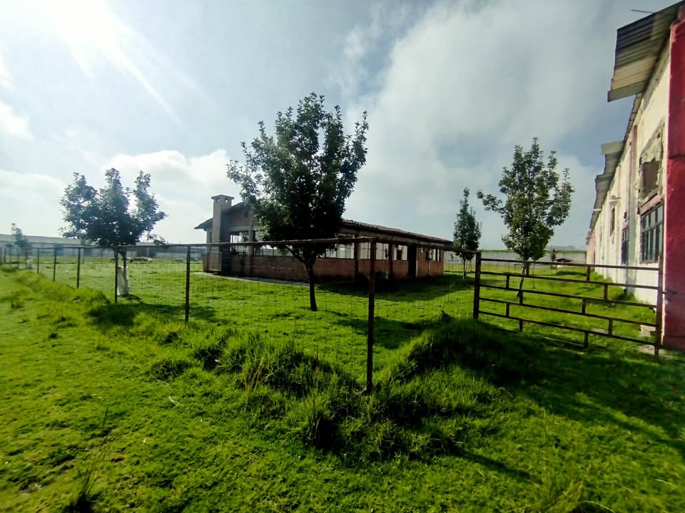 Miniatura 6 de Rancho en venta 11,830 m2 con bodega